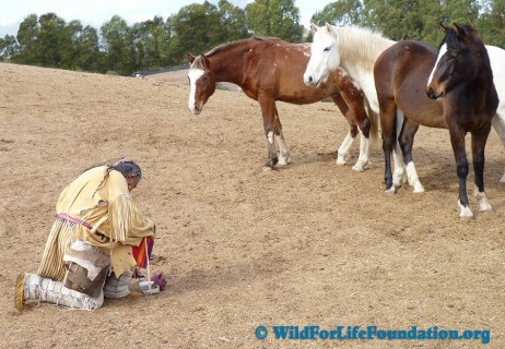 Blessings P1110528b_900x624